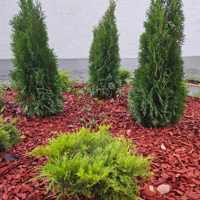 Ykkösmyynti myy havupuumultaa suursäkeissä ja irtotavarana, katso lisää www.ykkosmyynti.fi