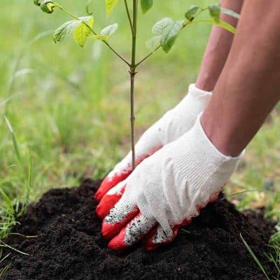 Istutusmulta Plussa suursäkissä ja irtotavarana - Suursäkki (800 l)