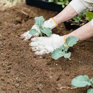 Luomumulta suursäkissä ja irtotavarana